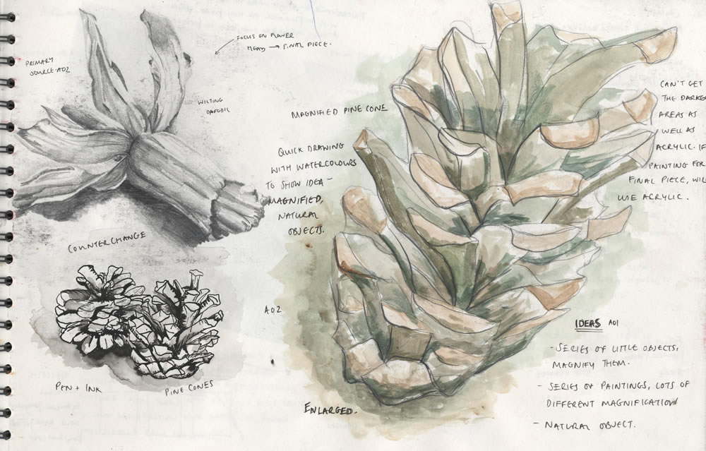 Observational drawings A Level Art