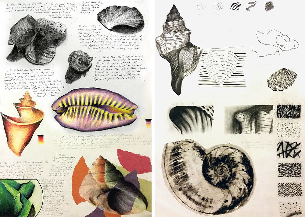 International GCSE shell drawings